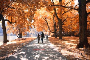 逆转成功！运动员突破自我斩获金牌