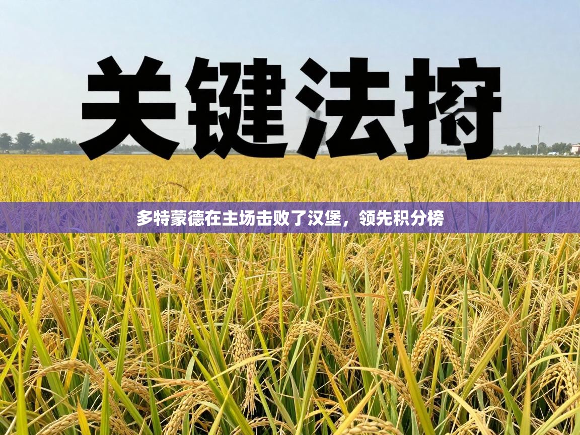 多特蒙德在主场击败了汉堡,领先积分榜 第2张
